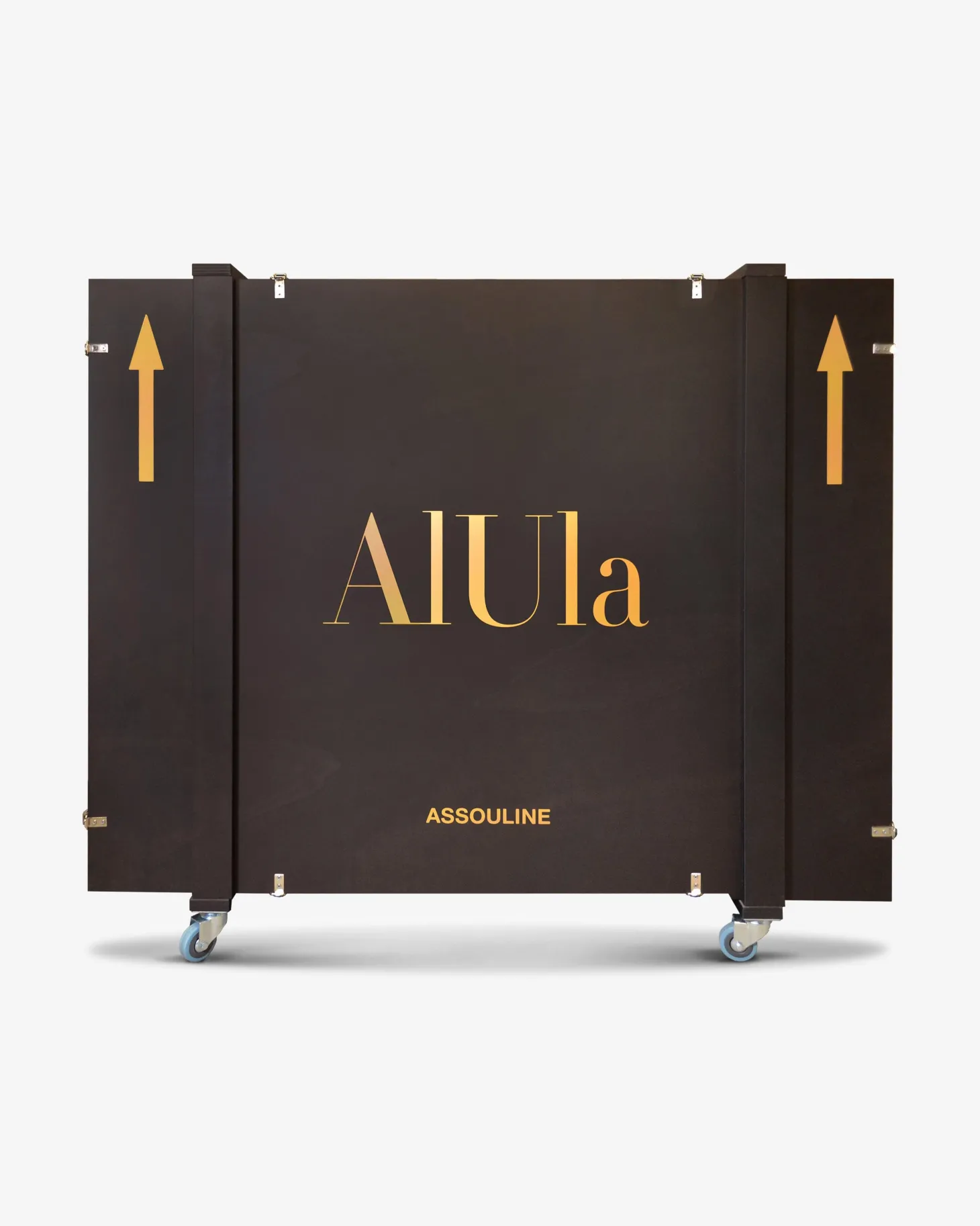 ASSOULINE Travel|AlUla XXL